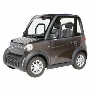 MOVE CityCar bruin